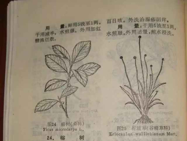 赤脚医生：悬壶济世的温暖记忆【1】