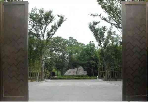 张宏良：中国的悲剧究竟是源于西方共济会还是这些国内“富豪会”？