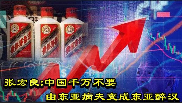 张宏良：中国千万不要由东亚病夫变成东亚醉汉