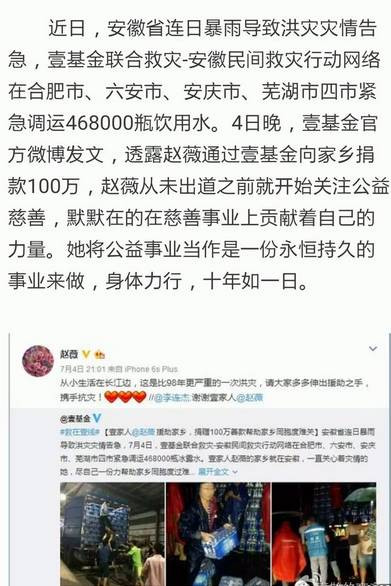 喜鹊：赵薇戴立忍台独门续：赵薇的诡异捐款