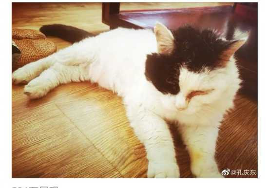 孔庆东：不论在战争年代还是和平年代，我们都要相信人民，依靠人民