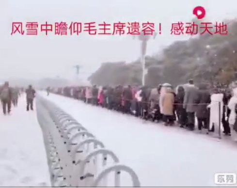 张宏良：农村有多少患病老人是被“药儿子”“绳儿子”和“水儿子”收走的，有谁统计过？