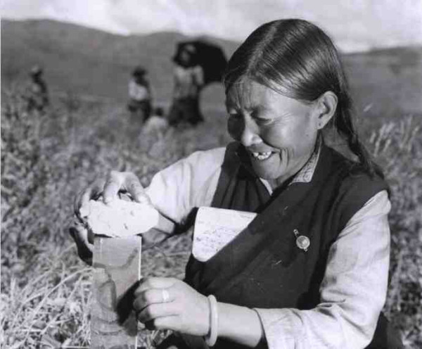 新中国工业革命与世界工业化回眸（四）