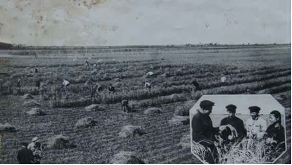 毛泽东社会主义光明道路——农业合作化运动