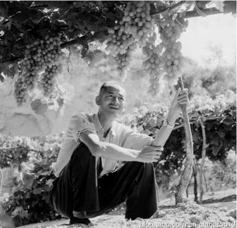 工业革命——世界工业化三百周年回眸（十三）