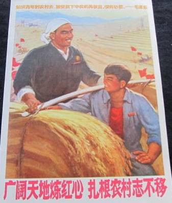 邢燕子深情回忆：无悔青春献给党