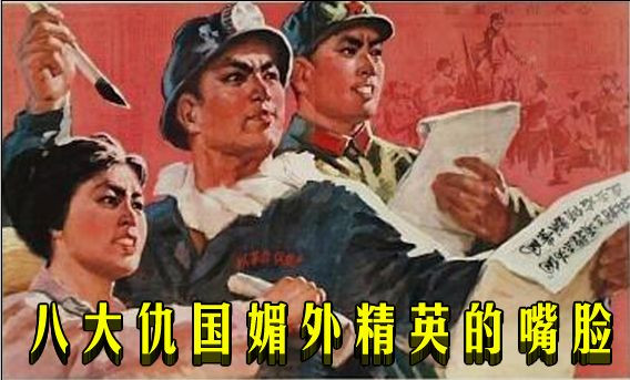 八大仇国媚外精英的嘴脸（综合）