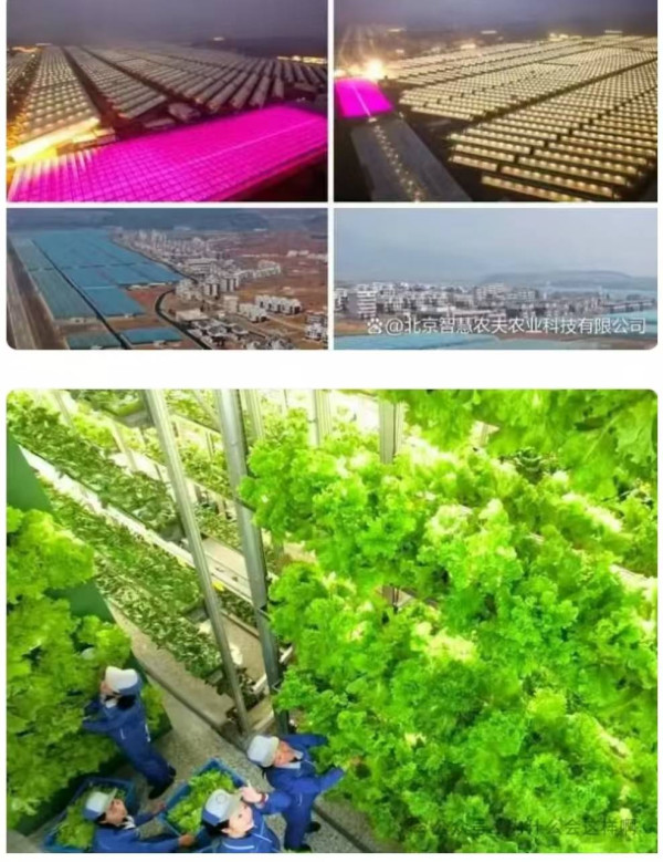 为什么说一个好的世界不应该有资本家!