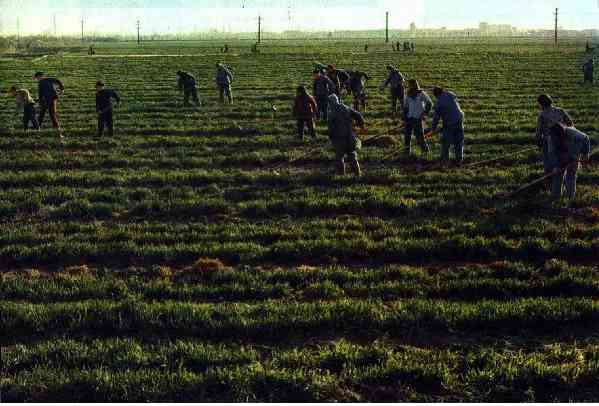 激情岁月！共和国留下父辈们创业的足印（14）