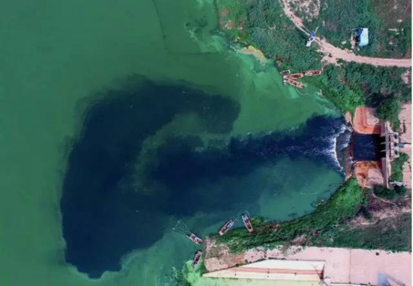 重磅！环渤海污染已触目惊心，地方政府各自为政、相互推诿