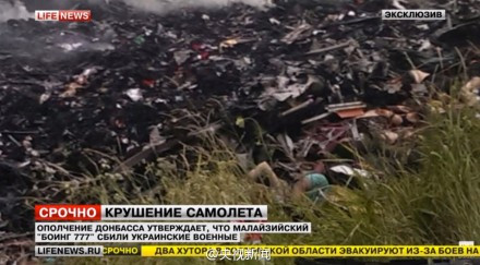 张宏良评：马航客机被击落事件