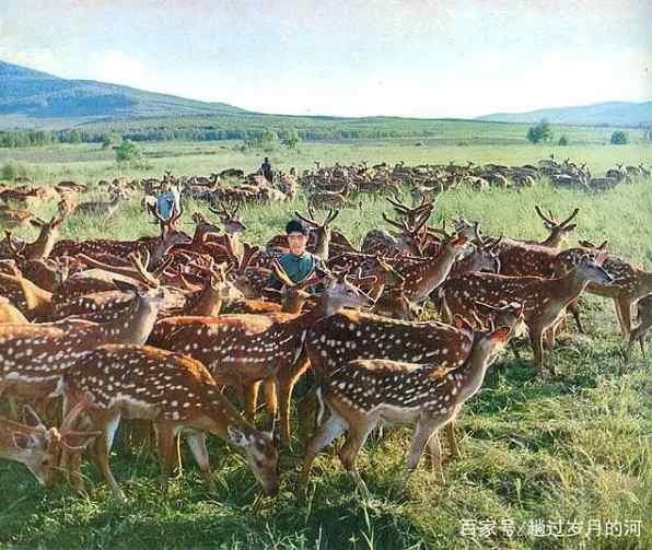 一组知青上山下乡插队的彩色照片