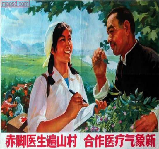 张宏良：农村有多少患病老人是被“药儿子”“绳儿子”和“水儿子”收走的，有谁统计过？