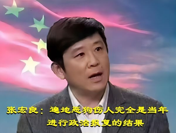 张宏良：遍地恶狗伤人完全是当年进行政治报复的结果