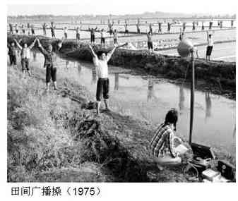 究竟给毛泽东时代的社会主义道路如何定性？
