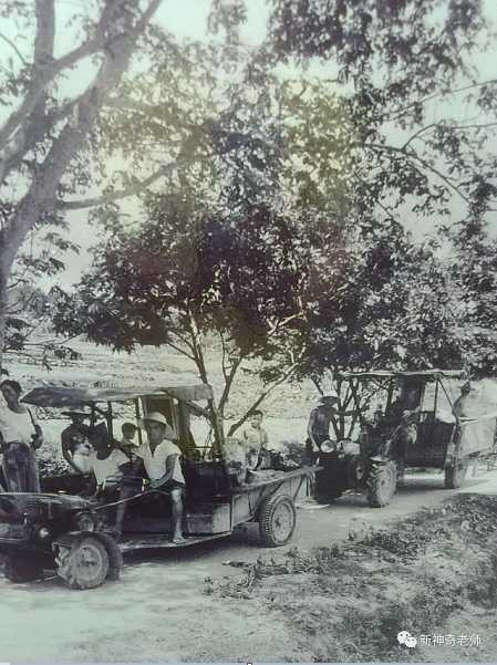 珍贵！一组澄海70年代围海造田的老照片，你一定没有看过...