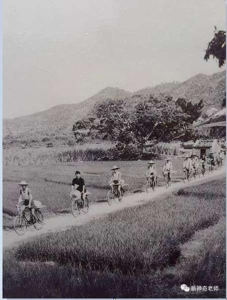 珍贵！一组澄海70年代围海造田的老照片，你一定没有看过...