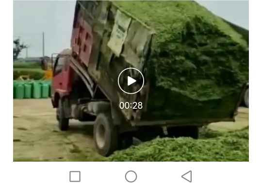 蒋高明 :青储小麦的经济账并不合算，其真实目的有待深挖