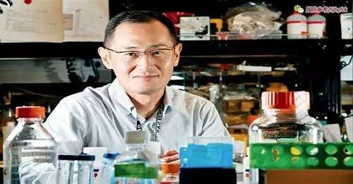 徐立: 颠覆性生物技术的制胜机理与发展预判