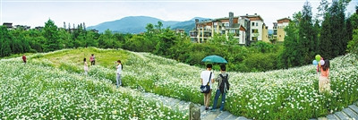 绿色发展的洪雅经验