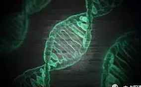 比731更邪恶，美国正秘密研制灭绝中俄的生物武器