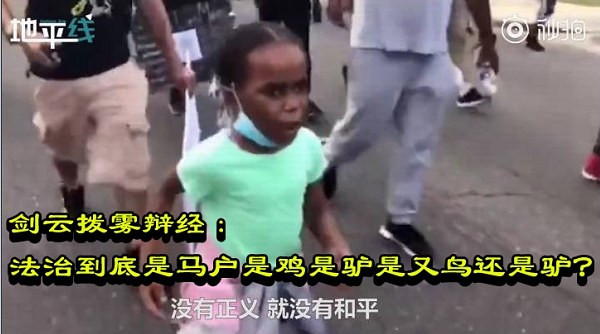 剑云拨雾辩经：法治到底是马户是鸡是驴是又鸟还是驴？