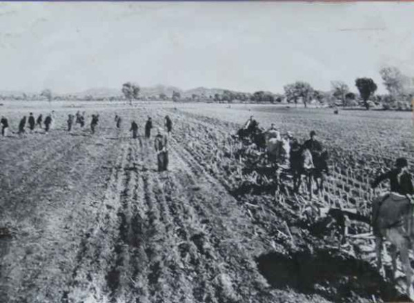 毛泽东社会主义光明道路——农业合作化运动