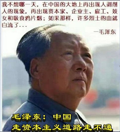 毛泽东：中国走资本主义道路走不通