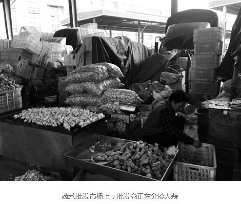 商人囤积370万斤大蒜 自称至少大赚600万元
