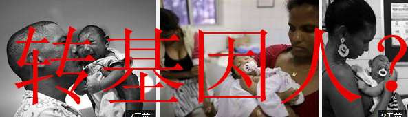 美国终于说出了生物技术是大规模杀伤性武器