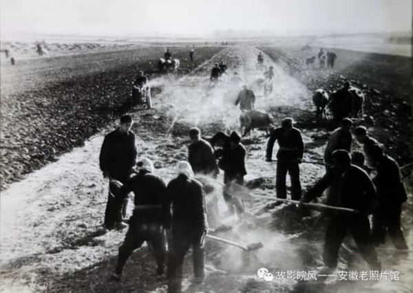 独家影像:安徽70年代的“知青”岁月