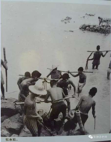 珍贵！一组澄海70年代围海造田的老照片，你一定没有看过...