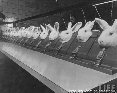 工业革命——世界工业化三百周年回眸（十五）