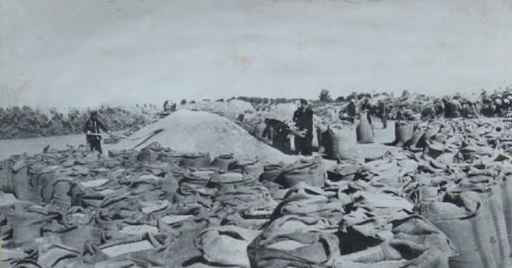 毛泽东社会主义光明道路——农业合作化运动