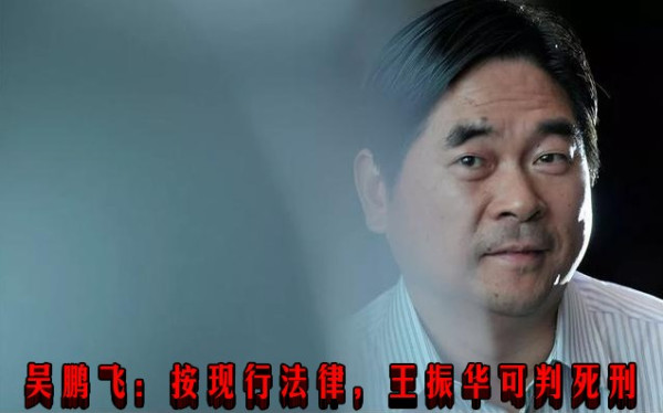 吴鹏飞：按现行法律，王振华可判死刑