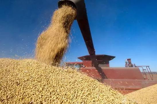 种族灭绝威胁——上市公司将中国人基因样板偷卖给西方！