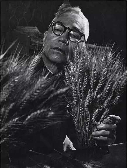 列数毛泽东时代令人国人骄傲的科研成果