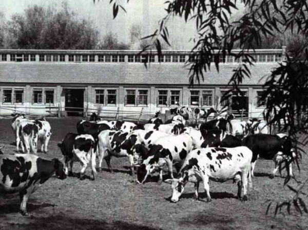 新中国工业革命与世界工业化回眸（十）