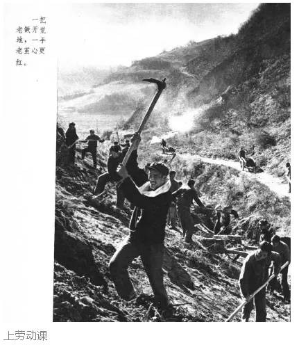 老田：牛棚和五七干校，到底长啥样？