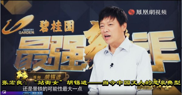 张宏良：“站街女”胡锡进——当今中国文人的悲哀典型