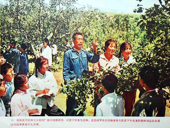 学校应当成为无产阶级专政的工具——记朝阳农学院1975.10