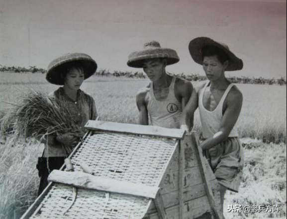 新中国70年代初期欣欣向荣的农村人民公社