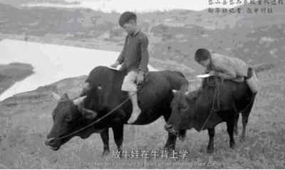 黎阳 ：从野蛮到文明、从原始到现代的根本转折