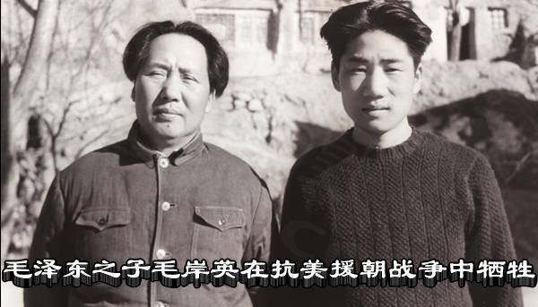 毛泽东之子毛岸英在抗美援朝战争中牺牲