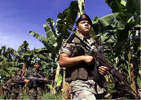 许越如：香蕉的血是红色的