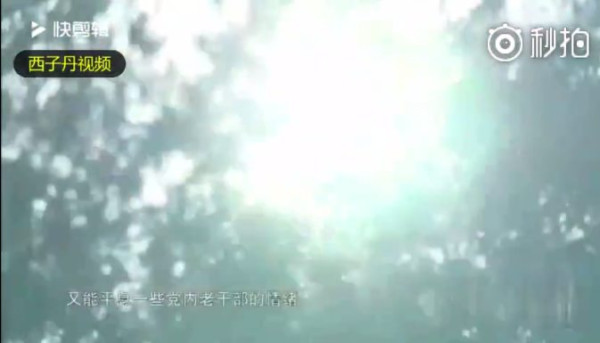 刘青山后人回忆往事