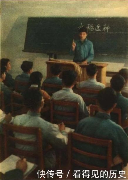 老照片 大跃进时期浙江的农业科技工作者