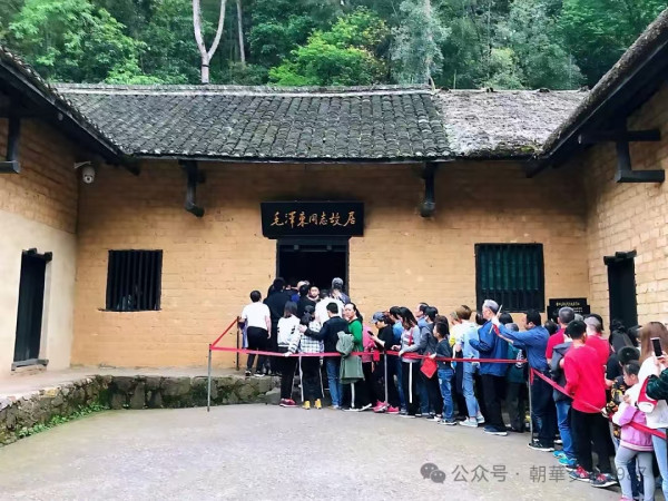 又见韶山杜鹃红