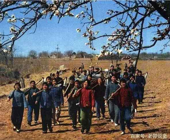 广阔天地，大有可为——记录当年知青下乡生活的珍贵彩色老照片