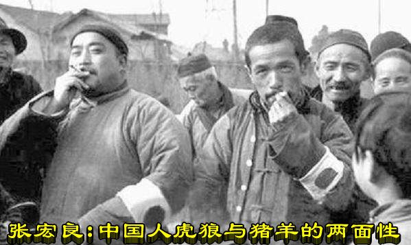 张宏良：中国人虎狼与猪羊的两面性